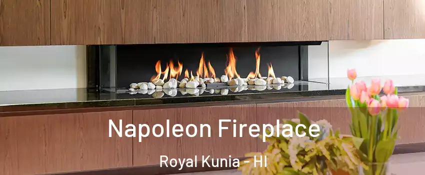  Napoleon Fireplace Royal Kunia - HI