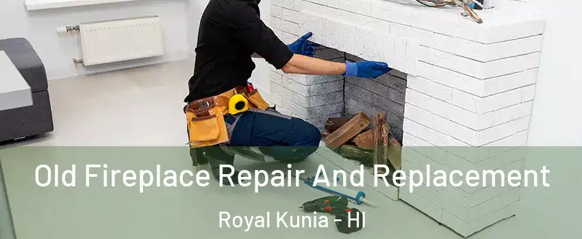  Old Fireplace Repair And Replacement Royal Kunia - HI