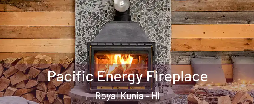  Pacific Energy Fireplace Royal Kunia - HI