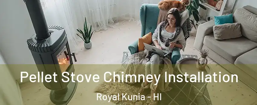  Pellet Stove Chimney Installation Royal Kunia - HI