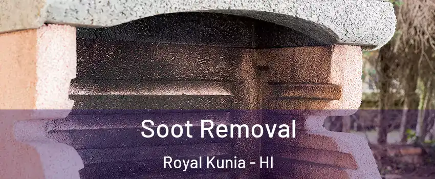  Soot Removal Royal Kunia - HI