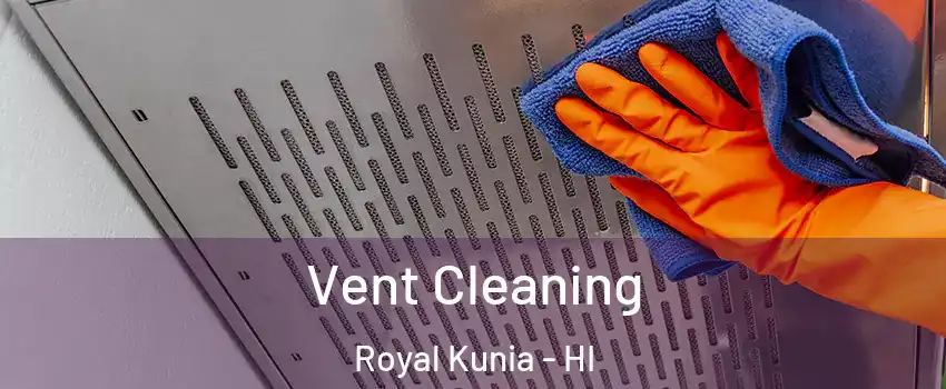  Vent Cleaning Royal Kunia - HI