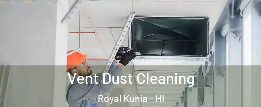  Vent Dust Cleaning Royal Kunia - HI