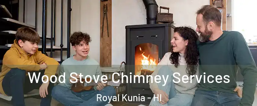  Wood Stove Chimney Services Royal Kunia - HI