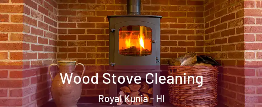  Wood Stove Cleaning Royal Kunia - HI