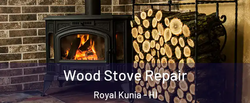  Wood Stove Repair Royal Kunia - HI